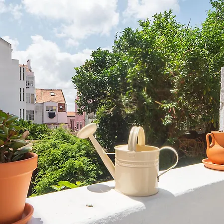 Graca Delight Terrace By Hosty Appartement Lissabon